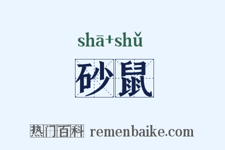 砂鼠是什么意思的图片